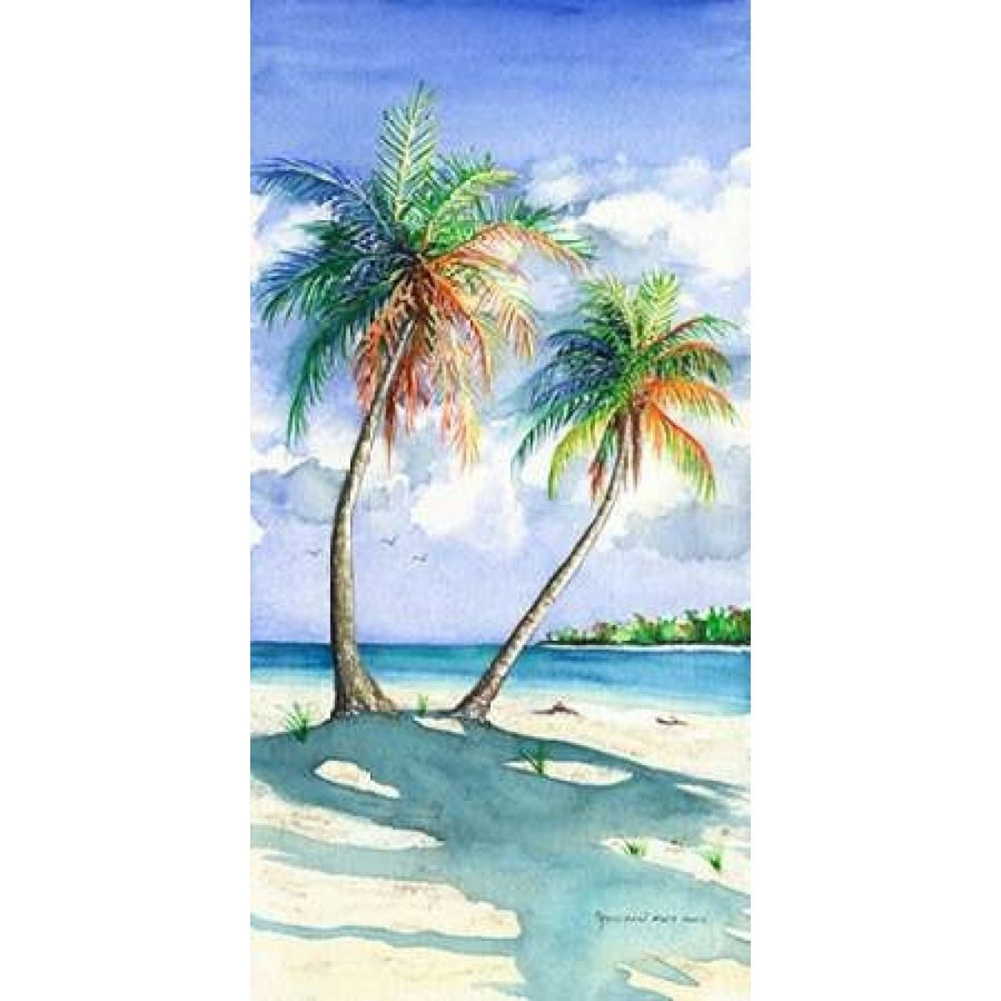 Palm Shadows Poster Print by Christine Reichow Image 1