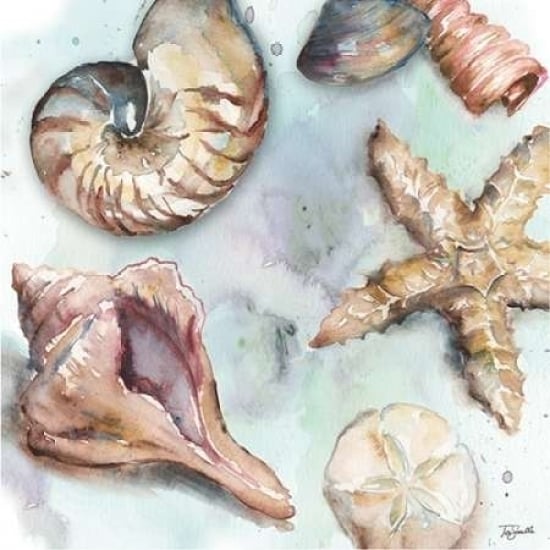 Watercolor Shell Toss II Poster Print by Tre Sorelle Studios Image 1