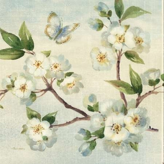 Cherry Bloom I Poster Print by Pamela Gladding Image 1