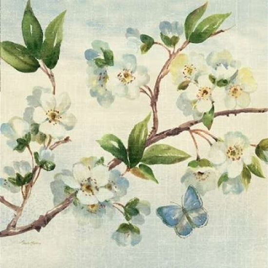 Cherry Bloom II Poster Print by Pamela Gladding Image 2