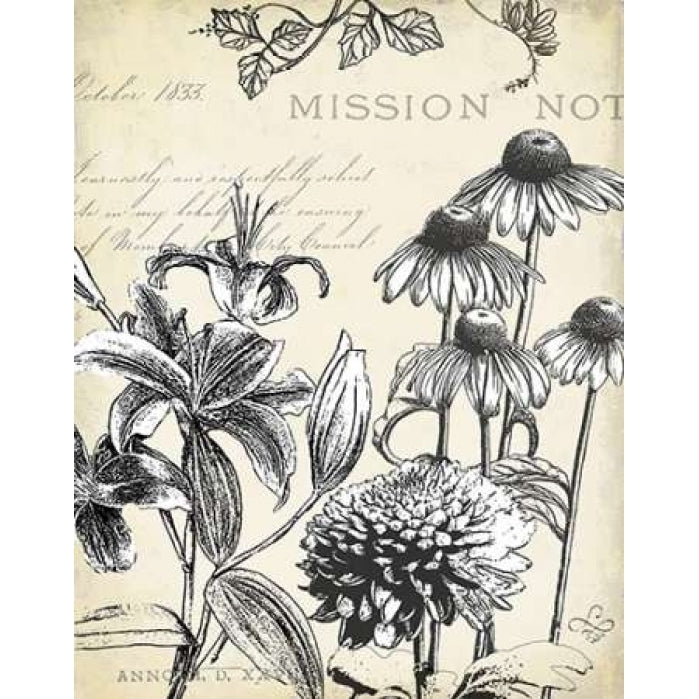 Pen and Ink Floral Study III Poster Print by Marie Elaine Cusson Image 1