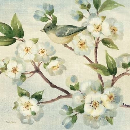 Cherry Bloom Bird I Poster Print by Pamela Gladding Image 2