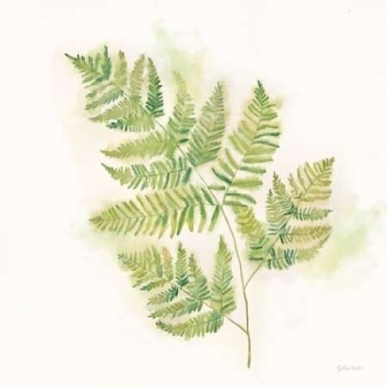 Modern Ferns II Poster Print by Cynthia Coulter Image 2