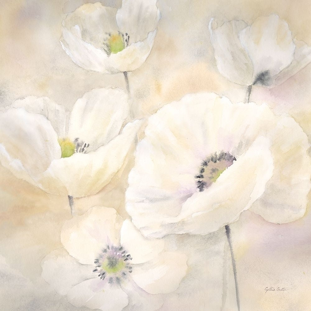 White Poppies II Poster Print by Cynthia Coulter Image 1