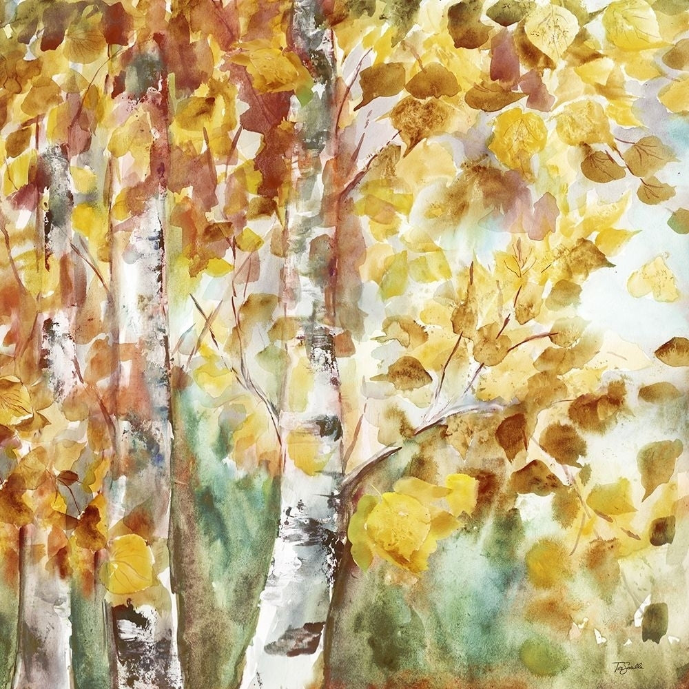 Watercolor Fall Aspens Square Poster Print by Tre Sorelle Studios Image 1