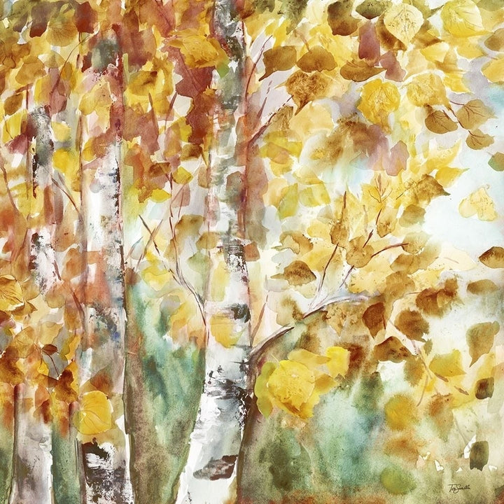 Watercolor Fall Aspens Square Poster Print by Tre Sorelle Studios Image 1