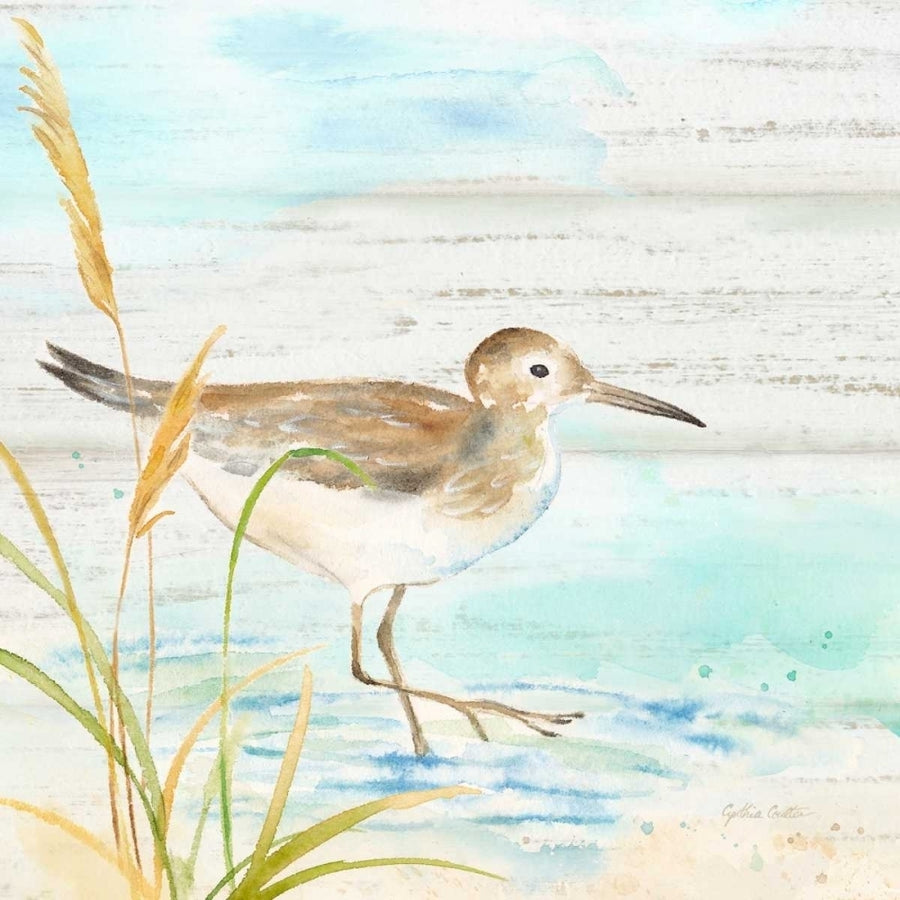 Sandpiper Beach I Poster Print by Cynthia Coulter Image 1