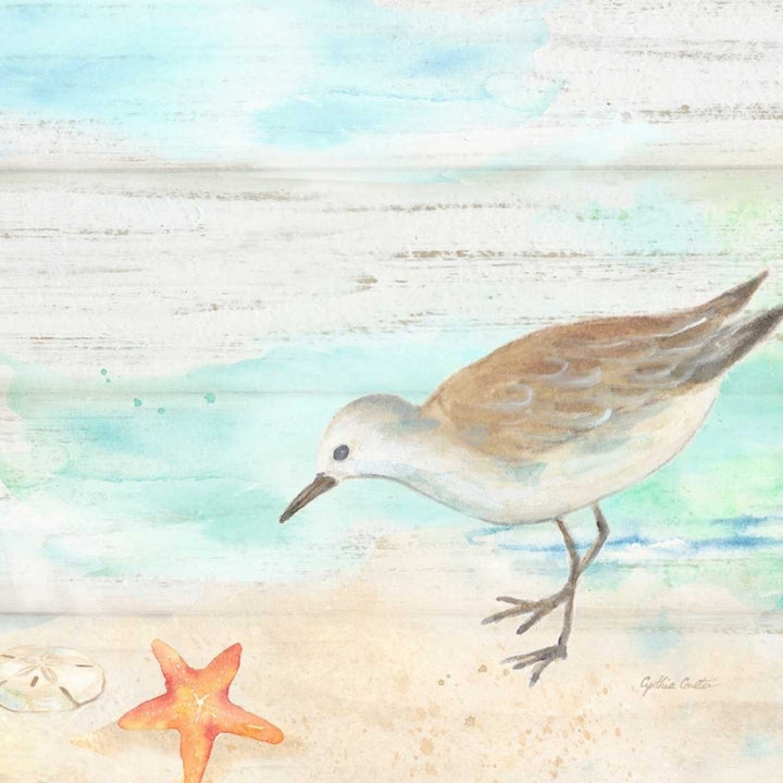 Sandpiper Beach II Poster Print by Cynthia Coulter Image 1