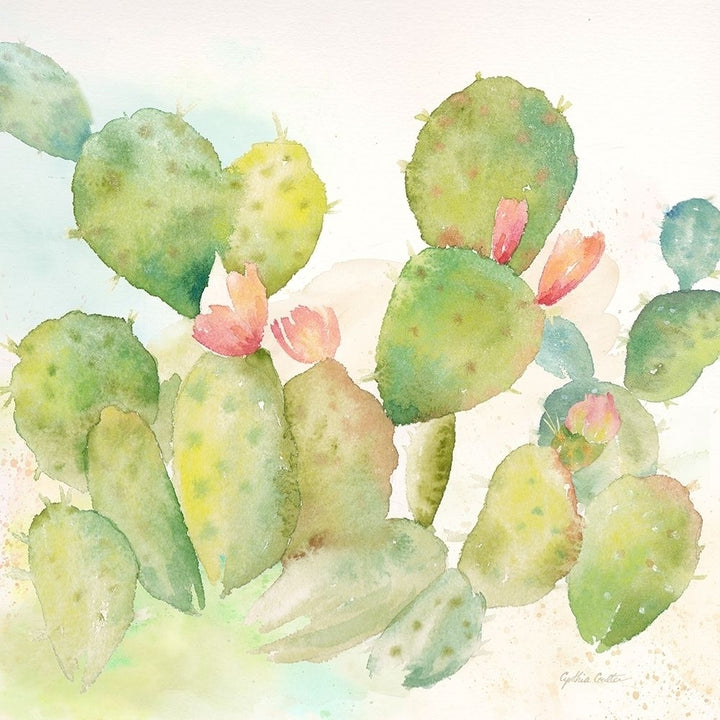 Cactus Garden I Poster Print by Cynthia Coulter Image 1