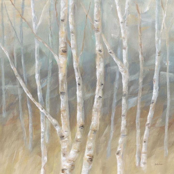 Silver Birch Square Poster Print by Cynthia Coulter Image 2