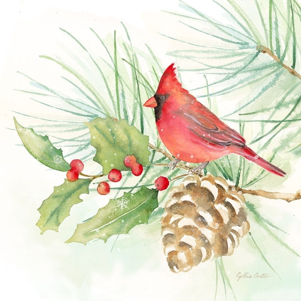 Winter Birds Iv Cardinal Poster Print by Cynthia Coulter Image 2