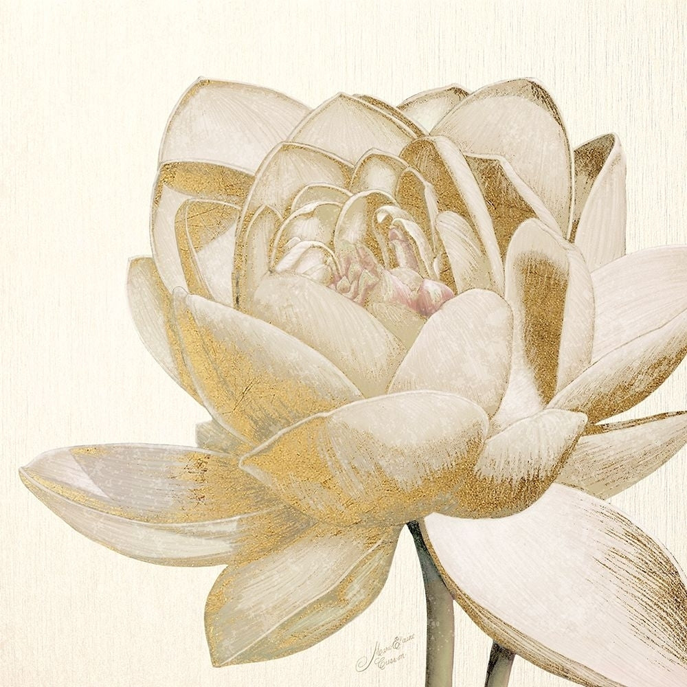 Vintage Lotus Cream Ii Poster Print by Marie Elaine Cusson Image 2