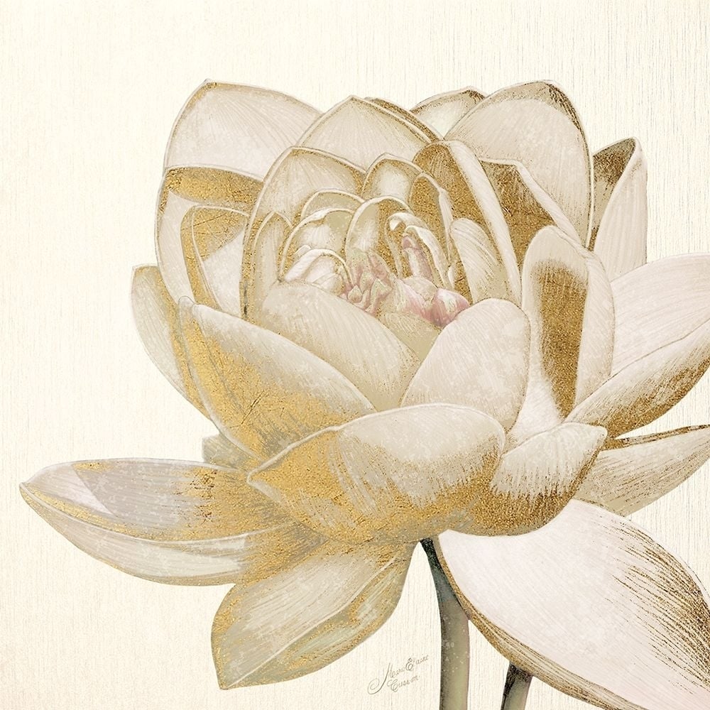 Vintage Lotus Cream Ii Poster Print by Marie Elaine Cusson Image 1