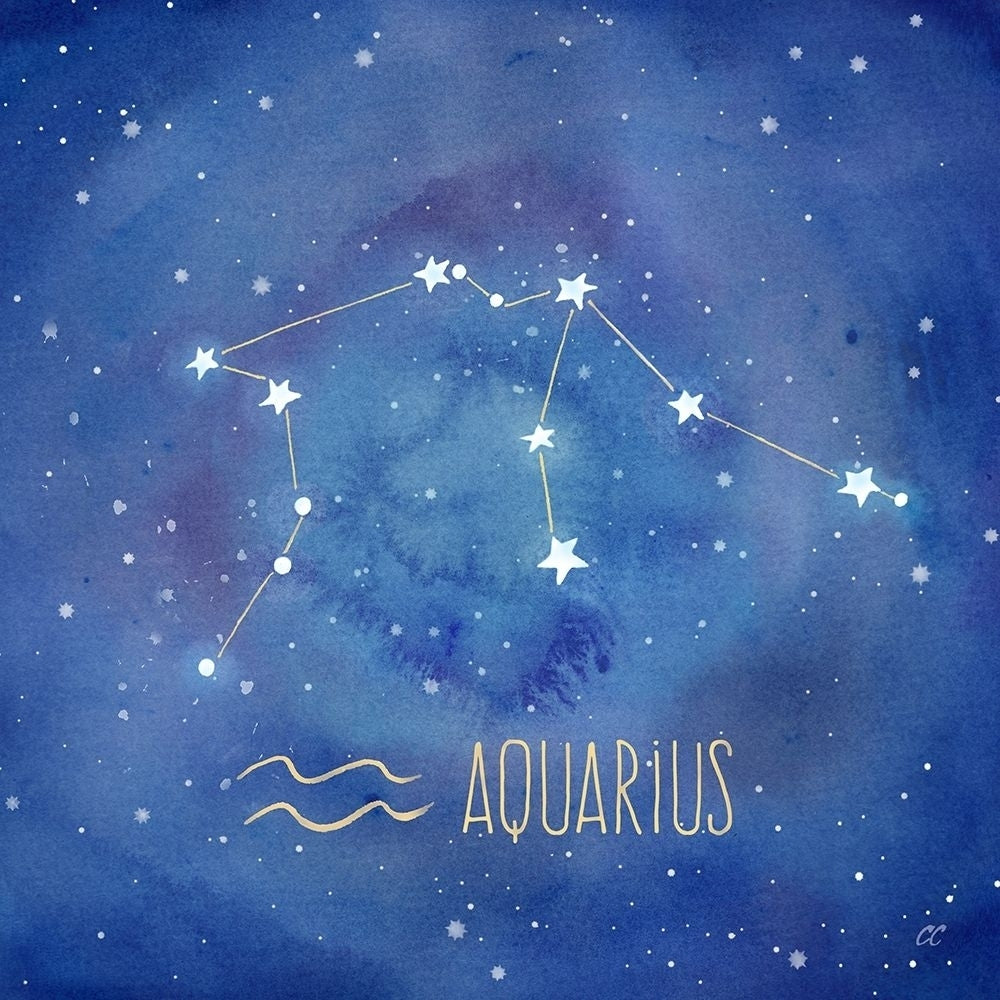 Star Sign Aquarius Poster Print by Cynthia Coulter Image 1