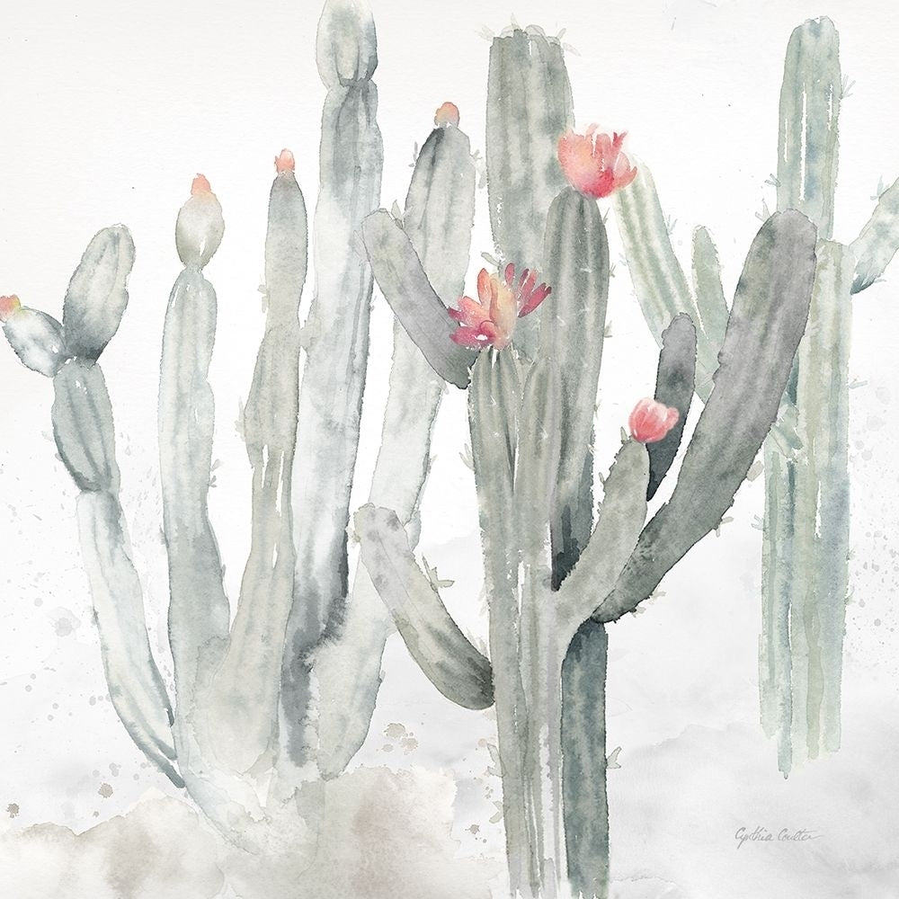 Cactus Garden Gray Blush II Poster Print by Cynthia Coulter Image 1