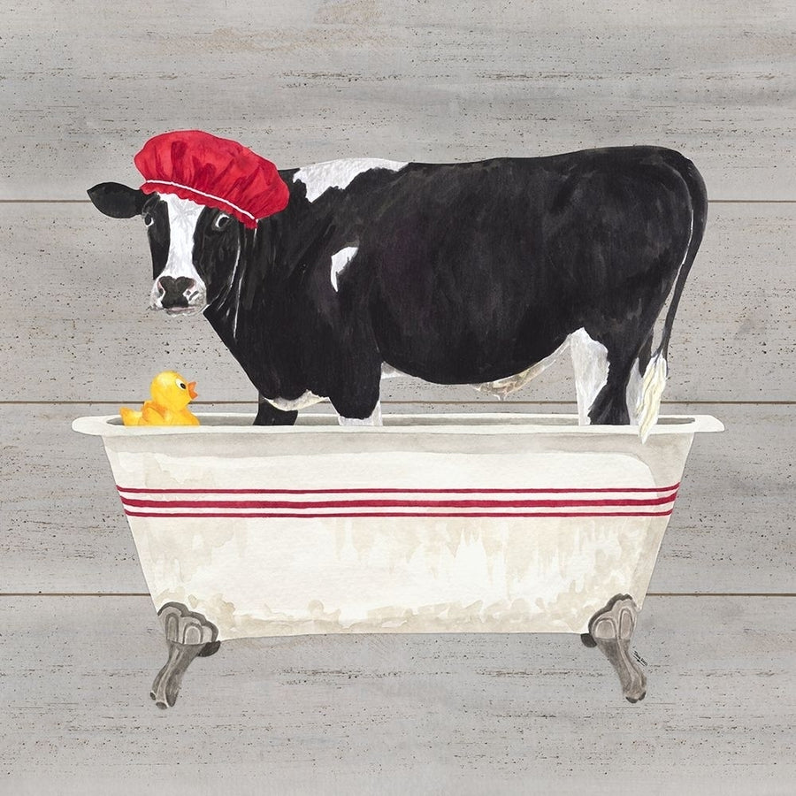 Bath time for Cows Tub Poster Print by Tara Reed Image 1