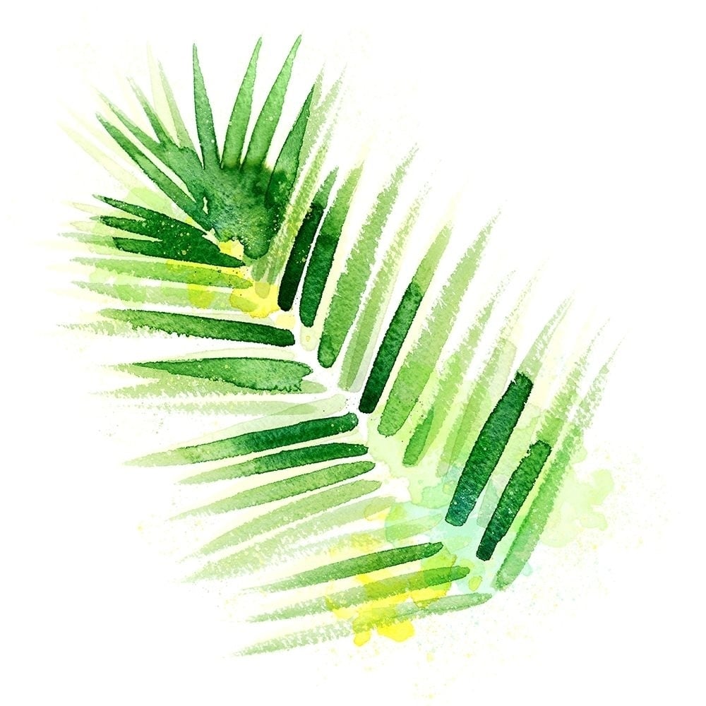 Tropical Icons Palm Frond Poster Print by Northern Lights Image 1