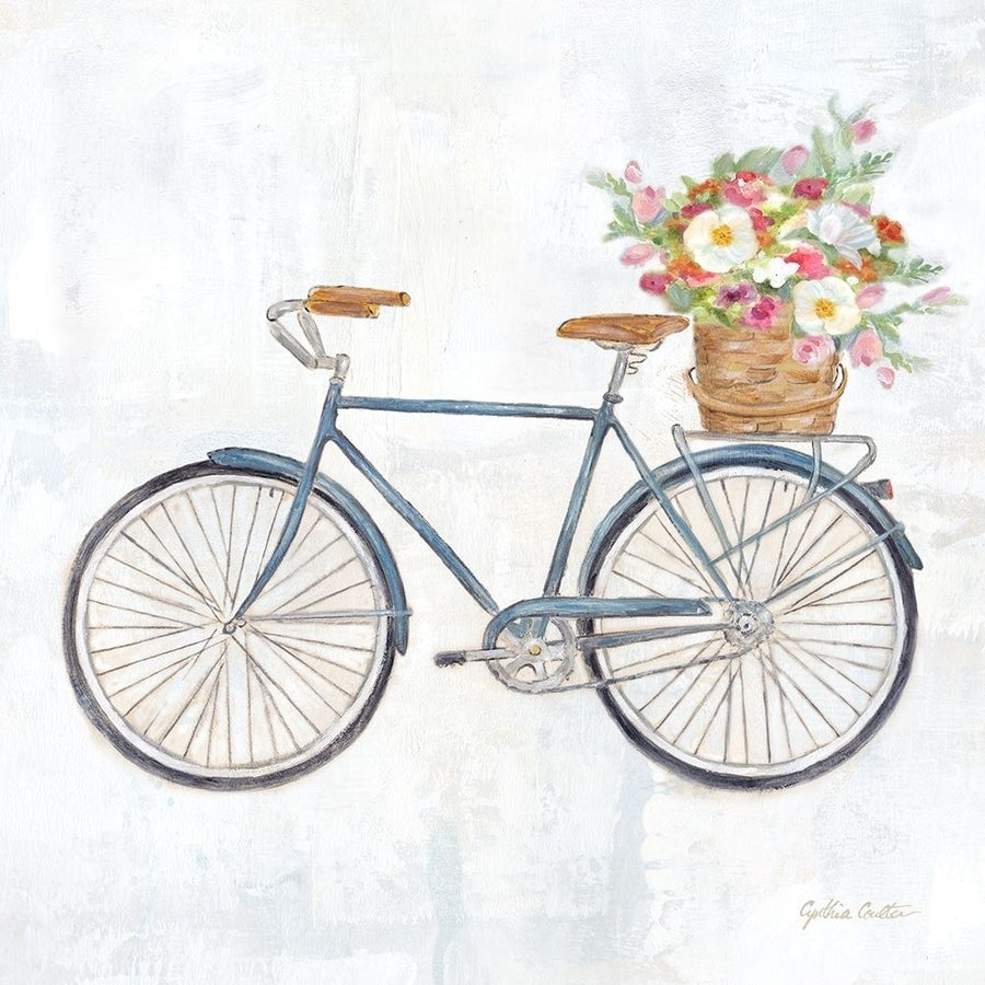 Vintage Bike w/flower basket II Poster Print by Cynthia Coulter Image 1