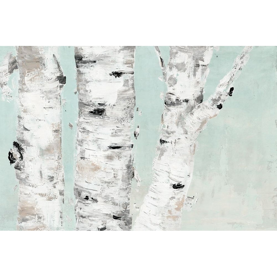 Birch Tree Close Up Poster Print by Marie-Elaine Cusson Image 1