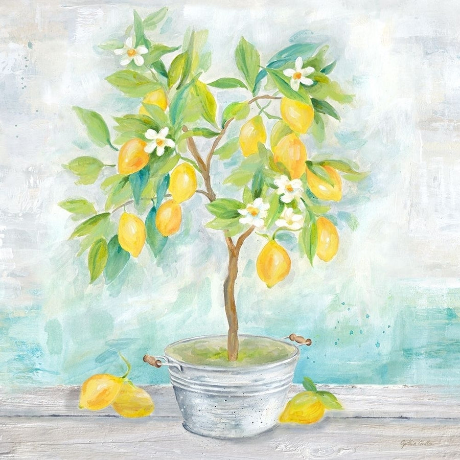 Country Lemon Tree Poster Print by Cynthia Coulter Image 1