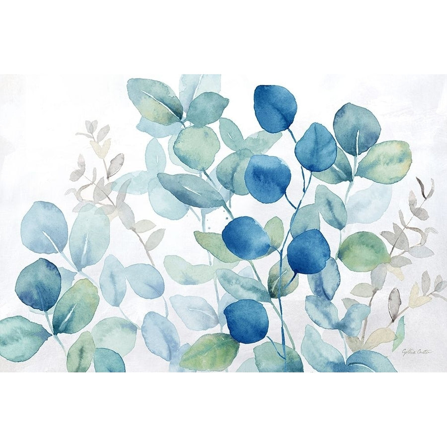 Eucalyptus Leaves landscape blue green Poster Print by Cynthia Coulter RB14796CC Image 1