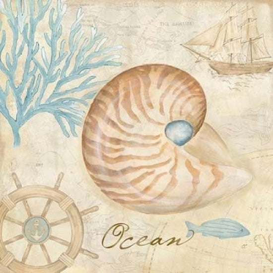 Nautical Shells III Poster Print by Cynthia Coulter Image 1