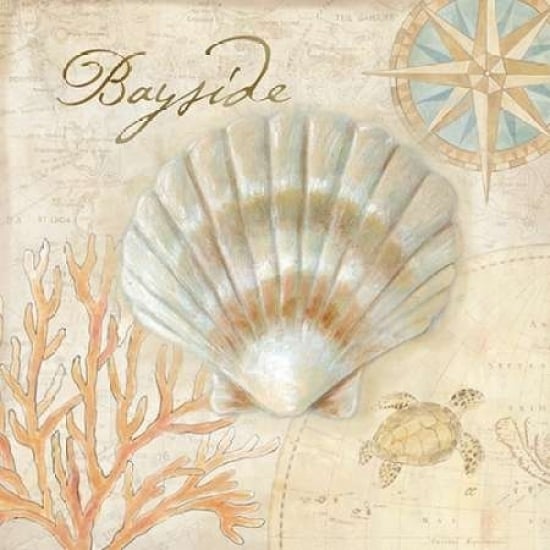 Nautical Shells II Poster Print by Cynthia Coulter Image 2