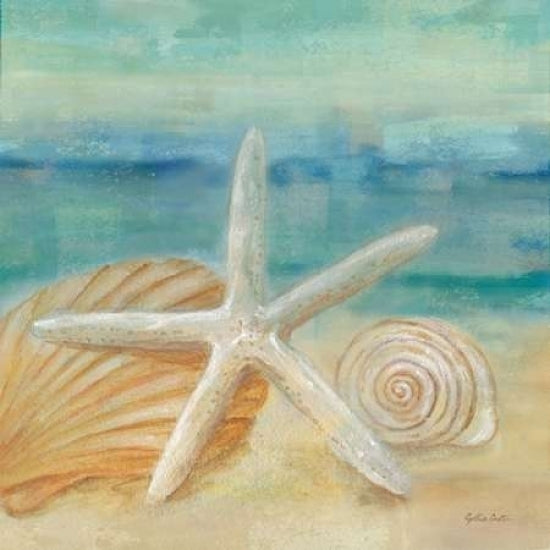 Horizon Shells I Poster Print by Cynthia Coulter Image 2