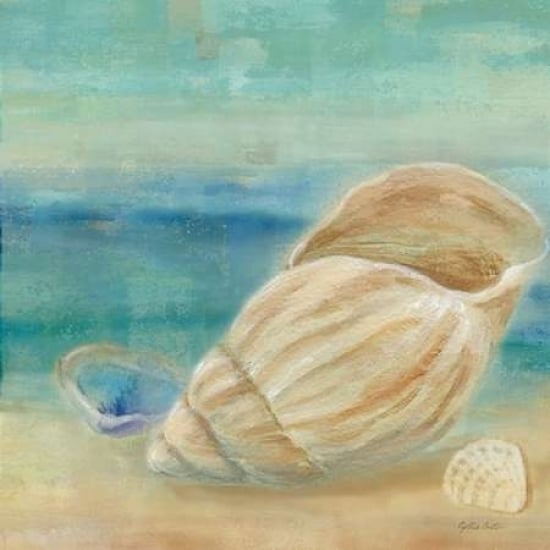 Horizon Shells II Poster Print by Cynthia Coulter Image 2