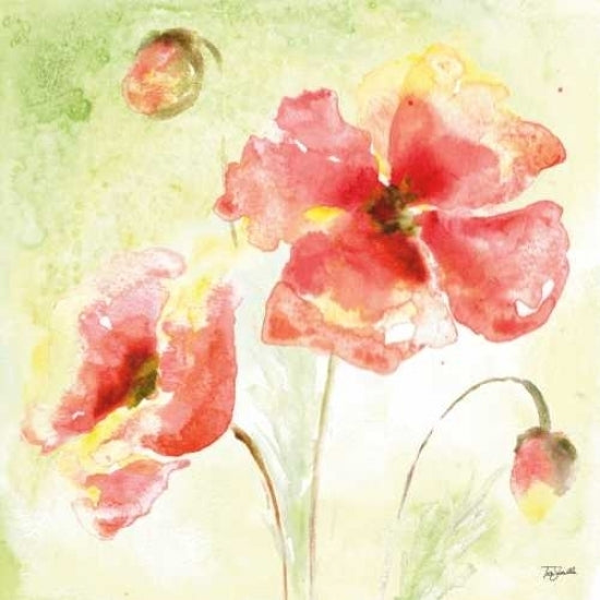 Pale Pink Poppies I Poster Print by Tre Sorelle Studios Image 1