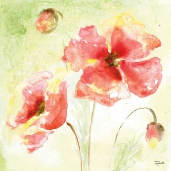 Pale Pink Poppies I Poster Print by Tre Sorelle Studios Image 2