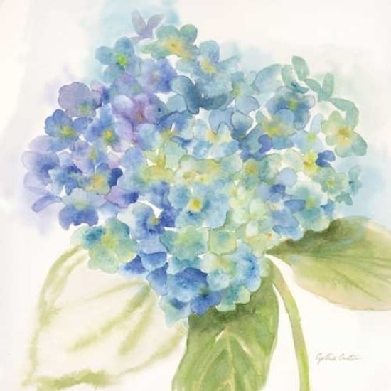 Painted Hydrangeas II Poster Print by Cynthia Coulter Image 2