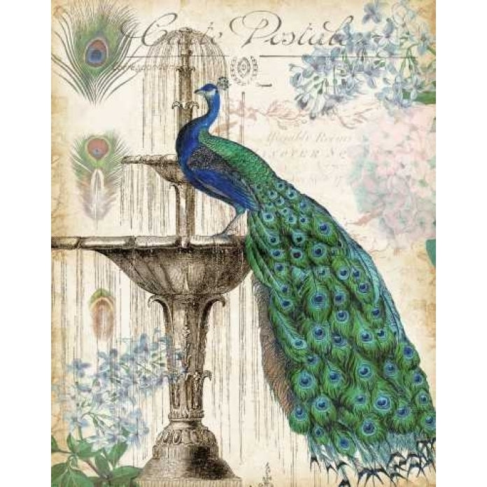 Vintage Peacocks II Poster Print by Tre Sorelle Studios Image 2