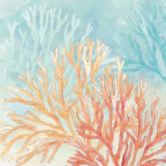 Coral Reef IV Poster Print by Cynthia Coulter Image 1