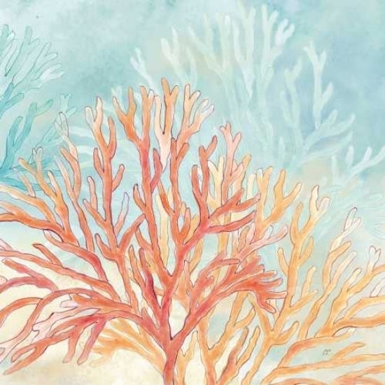 Coral Reef III Poster Print by Cynthia Coulter Image 2