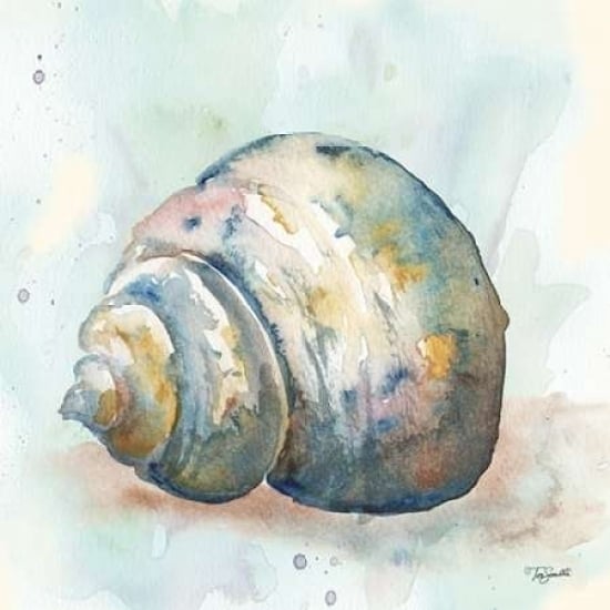 Watercolor Shells IV Poster Print by Tre Sorelle Studios Image 2