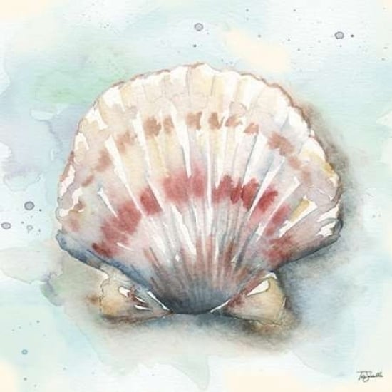 Watercolor Shells VI Poster Print by Tre Sorelle Studios Image 2