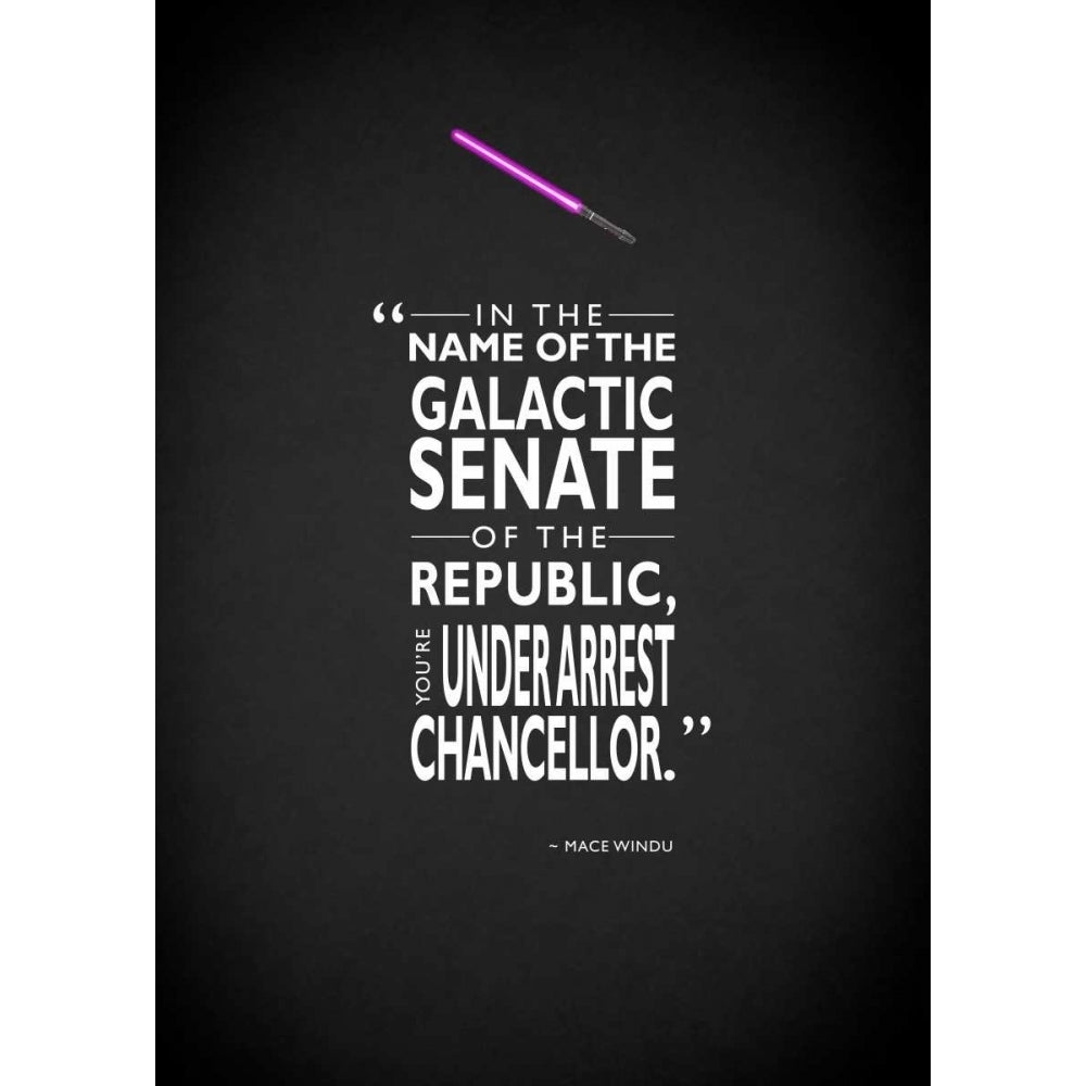 Mace-Windu Under-Arrest Poster Print by Mark Rogan RGN112822 Image 1