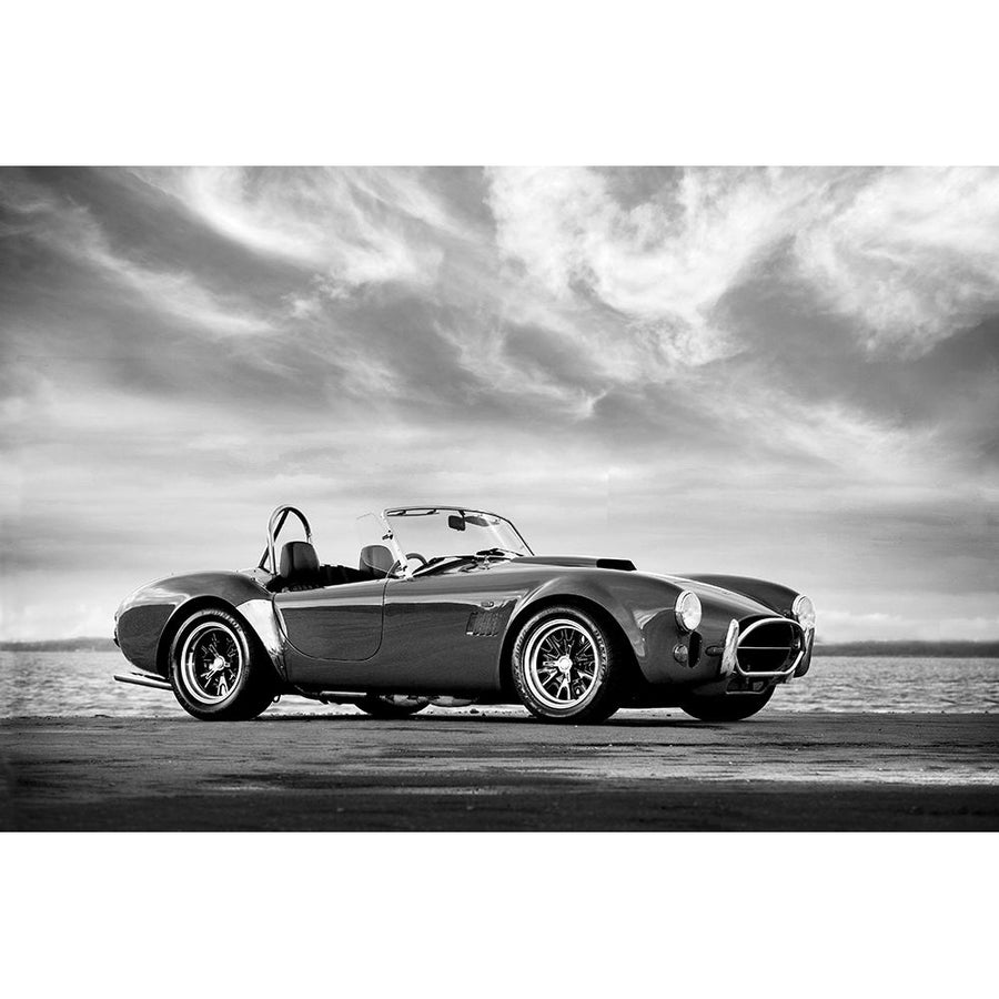 AC Shelby Cobra Poster Print by Mark Rogan RGN115639 Image 1