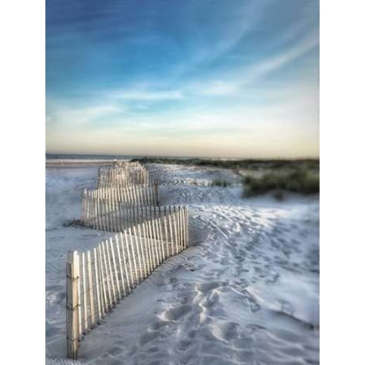 Sand Fence Poster Print by Joseph Rowland Image 1