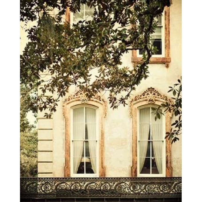 Savannah Charm I Poster Print by Irene Suchocki Image 2