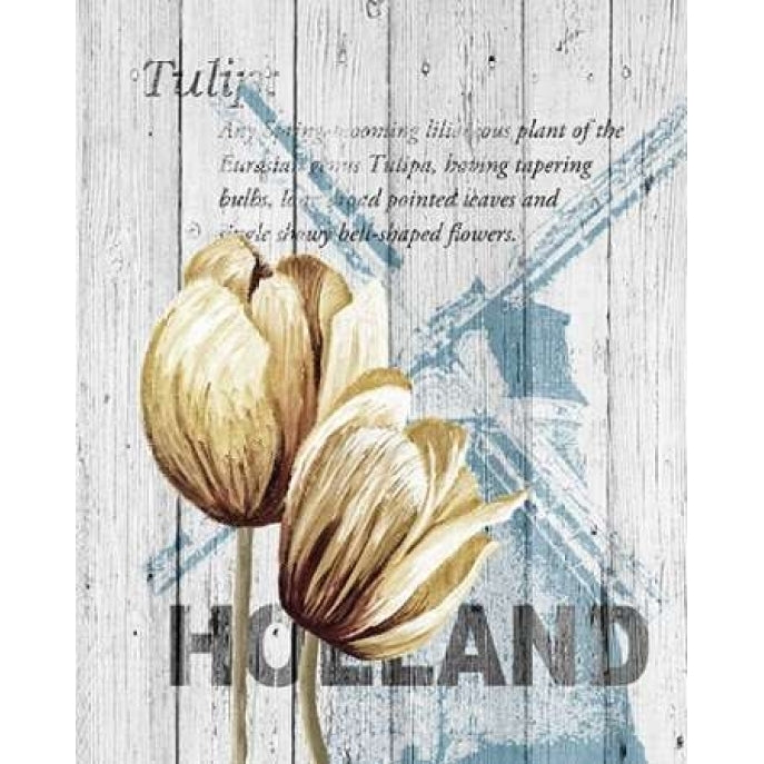 Holland Tulips Poster Print by Alicia Soave Image 1