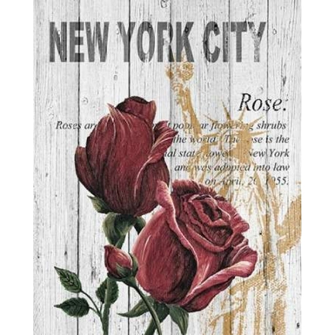 York Roses Poster Print by Alicia Soave Image 2