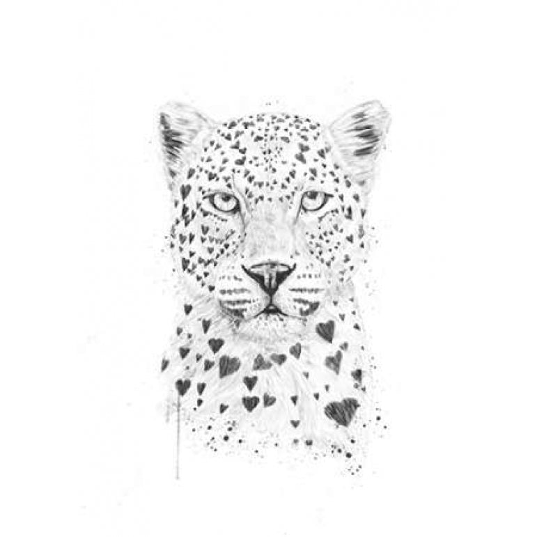 Lovely Leopard Poster Print by Balazs Solti Image 2