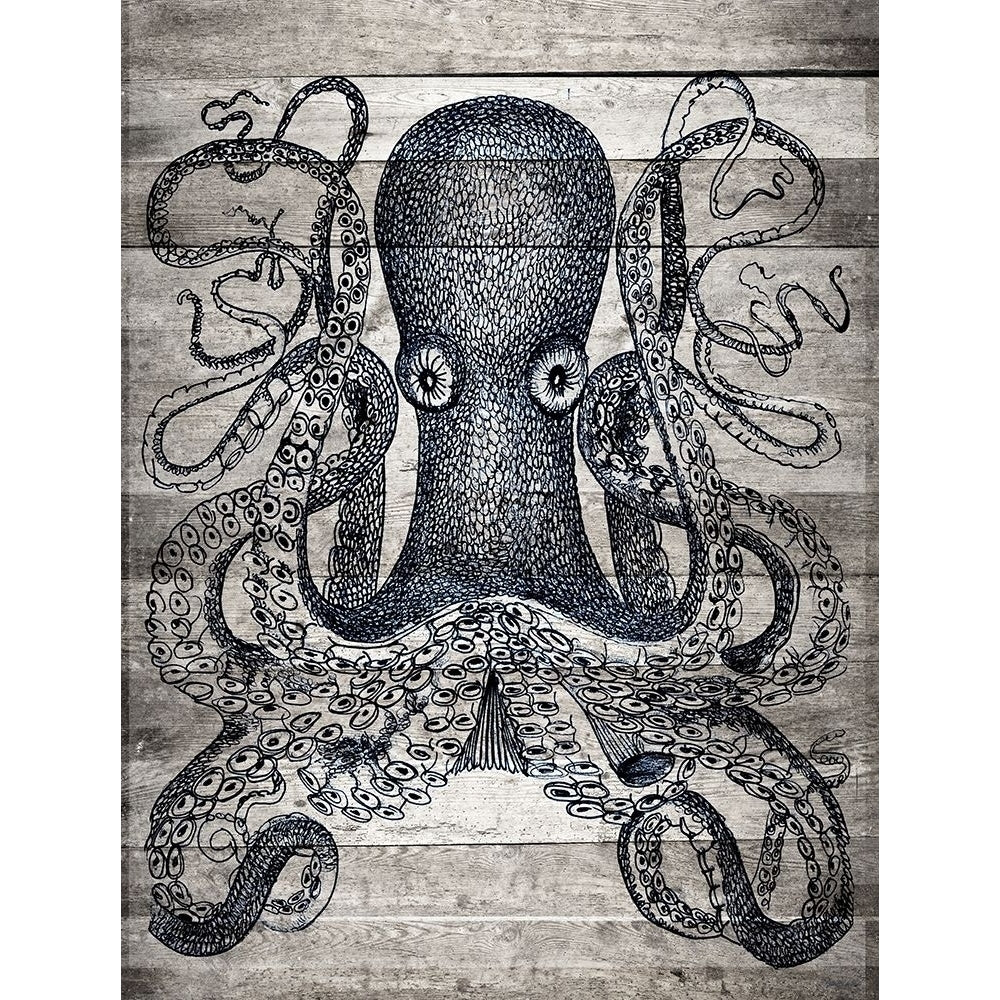 Kraken II Poster Print by Stellar Design Studio Stellar Design Studio SDS390 Image 1