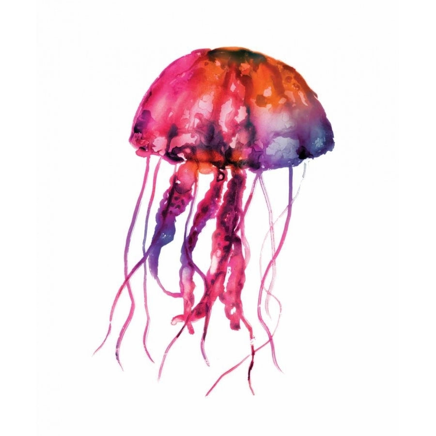 Multicolored Jellyfish Poster Print by Edward Selkirk Image 1