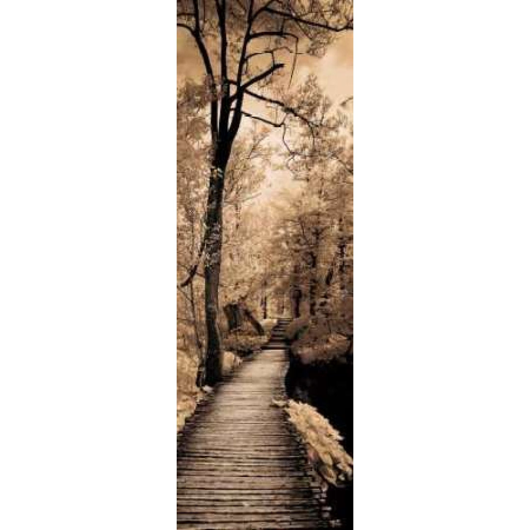 A Quiet Stroll I Poster Print by Ily Szilagyi Image 1