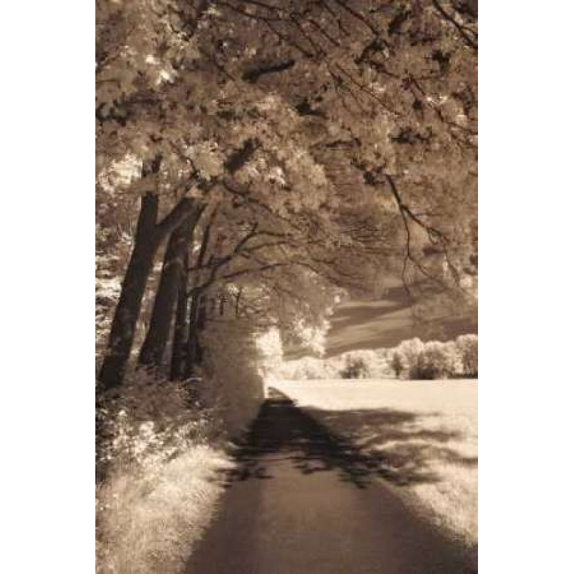 The Path Ahead Poster Print by Ily Szilagyi Image 1