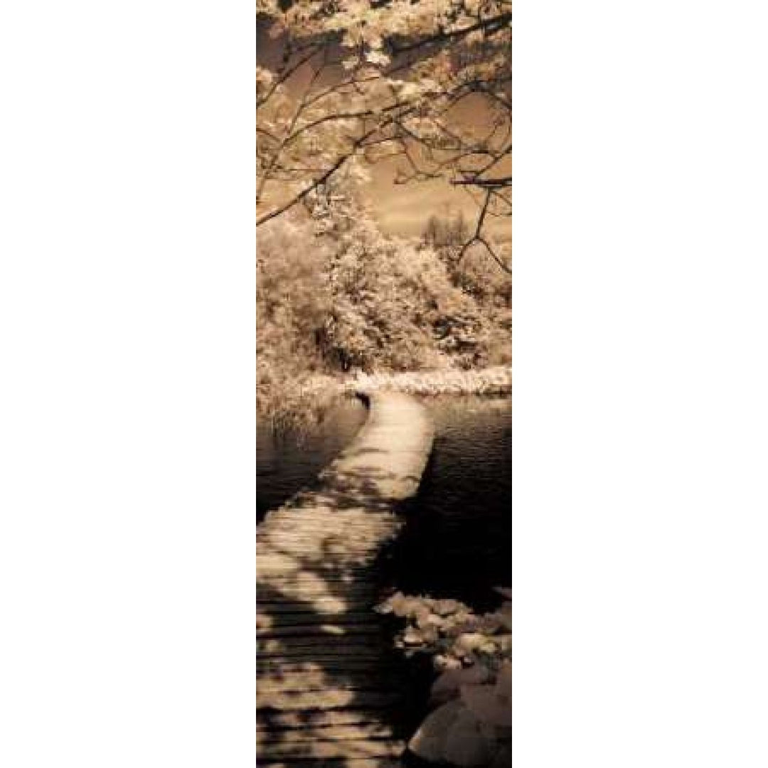 A Quiet Stroll II Poster Print by Ily Szilagyi Image 2