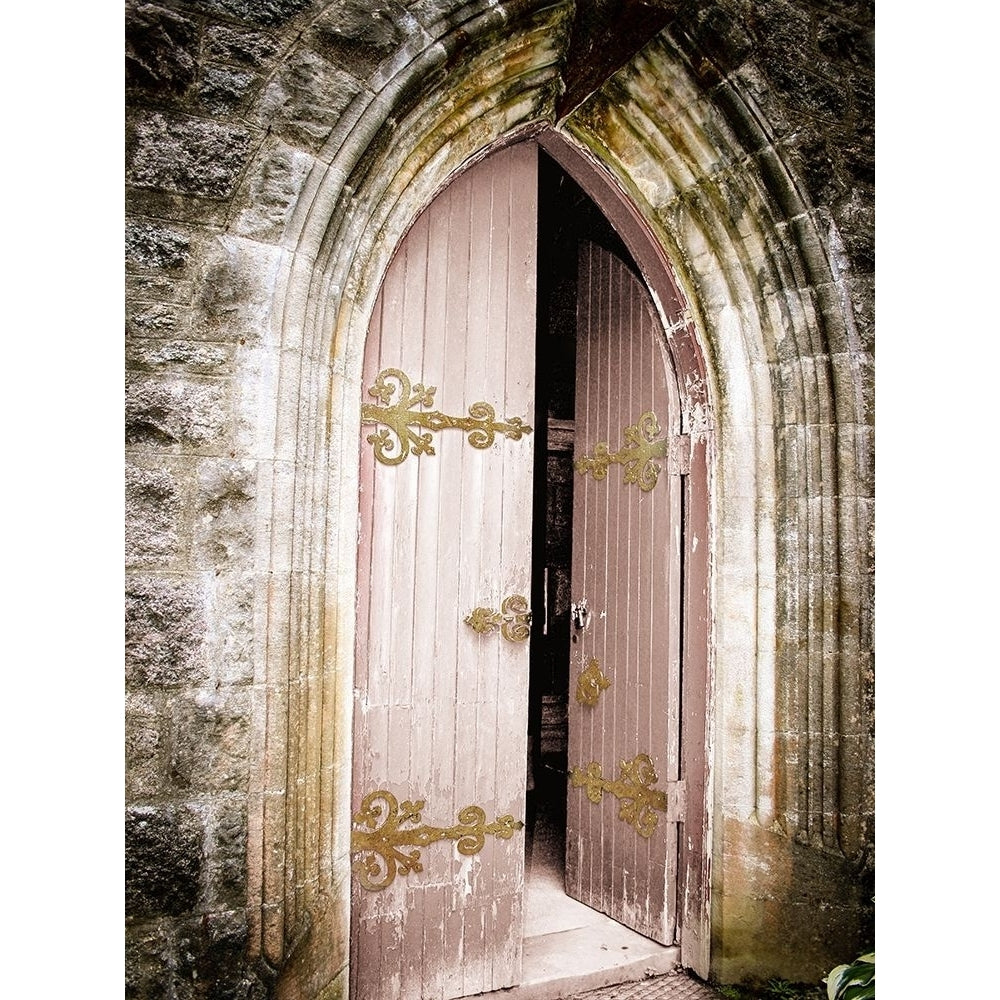 Soft Toned Vintage Door Poster Print by Sheldon Lewis Image 1